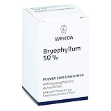 Weleda Bryophyllum 50%, 20 g Pulver
