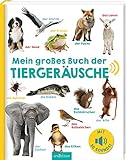 Mein großes Buch der Tiergeräusche: Mit 50 Sounds | Hochwertiges Soundbuch mit realistischen...