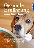 Gesunde Ernährung für Hunde: Fertigfutter oder selbstgemacht - gesundes Futter für jeden Hund...
