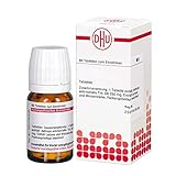 DHU Bryophyllum D6 Tabletten, 80 St. Tabletten